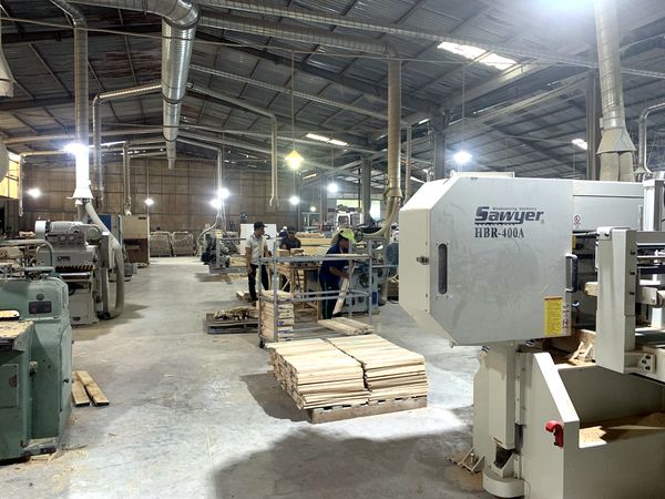 Solid-wood machining workshop with band saws, planers and dust extraction at Tan Phuoc factory, Vietnam